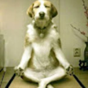 Meet your Posher, Betty